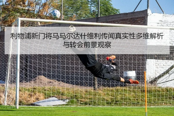 利物浦新门将马马尔达什维利传闻真实性多维解析与转会前景观察