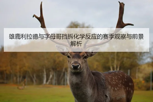 雄鹿利拉德与字母哥挡拆化学反应的赛季观察与前景解析