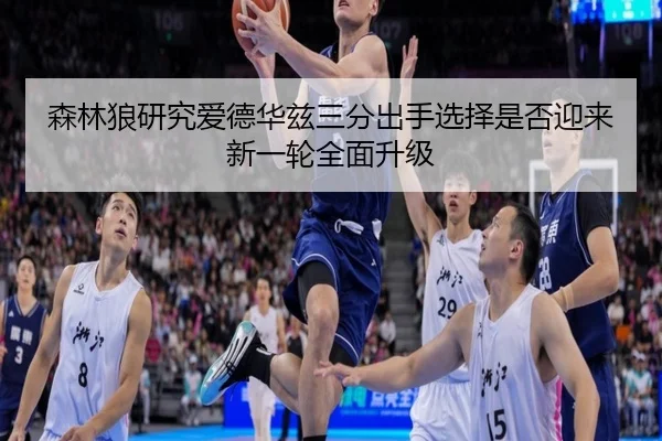 森林狼研究爱德华兹三分出手选择是否迎来新一轮全面升级