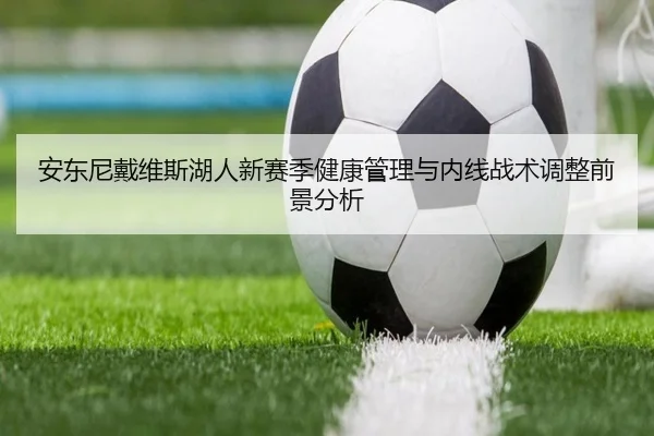 安东尼戴维斯湖人新赛季健康管理与内线战术调整前景分析