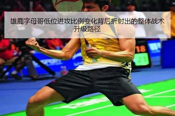 雄鹿字母哥低位进攻比例变化背后折射出的整体战术升级路径